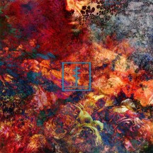 Frail Body - Artificial Bouquet album cover
