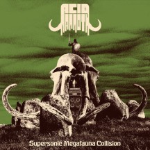 Acid Mammoth - Supersonic Megafauna Collision album cover