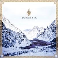 Bloodbark - Sacred Sound Of Solitude album cover