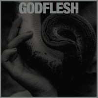 Godflesh - Purge cover image