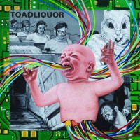 Toadliquor - Back In The Hole cover image