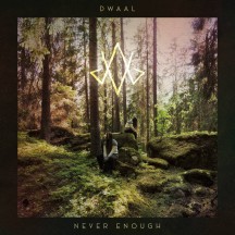 Dwaal - Never Enough album cover