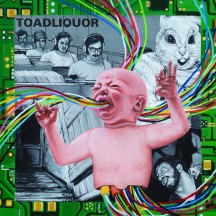 Toadliquor - Back In The Hole album cover