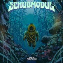 Schubmodul - Lost In Kelp Forest album cover