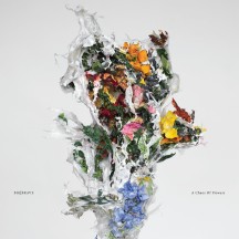 Big Brave - A Chaos Of Flowers album cover